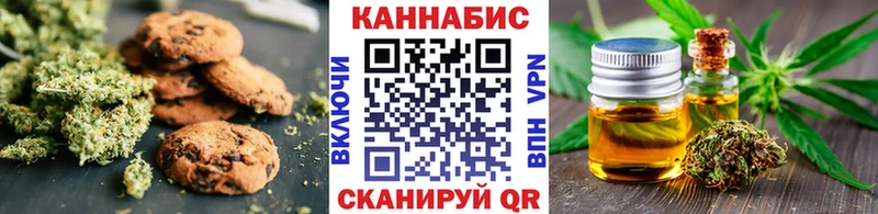 Купить закладки  Далматово  Cannafood конопля 