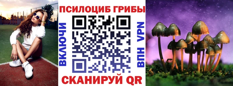 Псилоцибиновые грибы Psilocybe  Купить где  Далматово 
